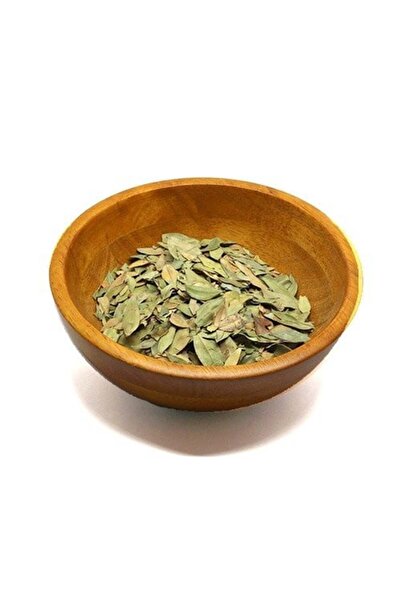 Nature Spirit The Spirit of Nature - Asaf Paper