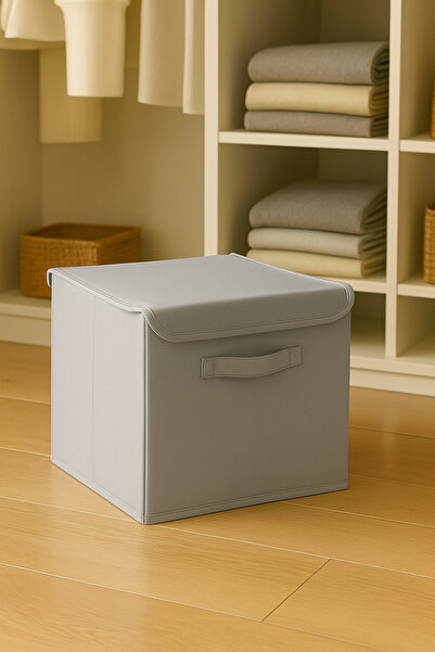 Spartek home textile 4 Pcs-With Lid Grey Closet Inside Laundry Toy Organizer Folding Storage Box with Lid 30X30X30Cm