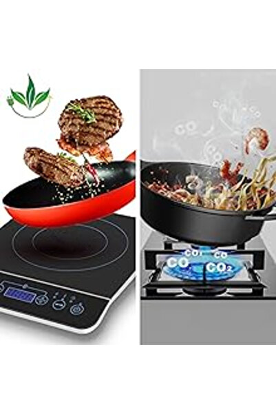BlueFire Induction Electric Hotplate, 2000W, 10 Temperature Levels, Timer, Black