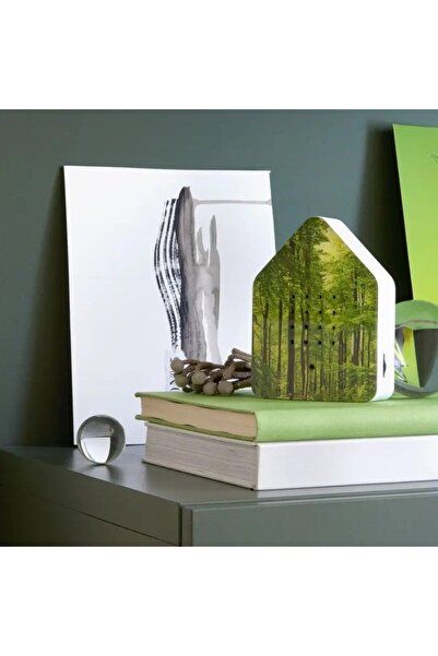 Relaxound Audiobox cu ciripit de pasari, sunete ambientale si naturale, activ...