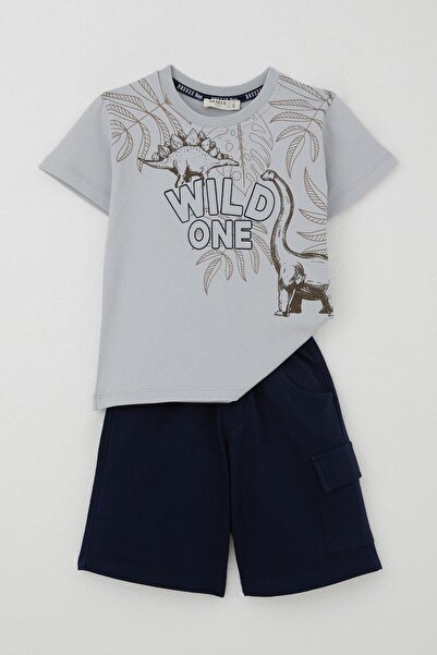 Breeze Boy's Shorts Set Strong Dinosaurs Printed 3-8 Years, Gray