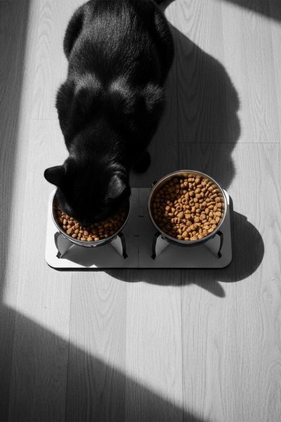 GOBYPET Ahşap Ayrılabilir Tabanlı 2'li Mama ve Su Kabı