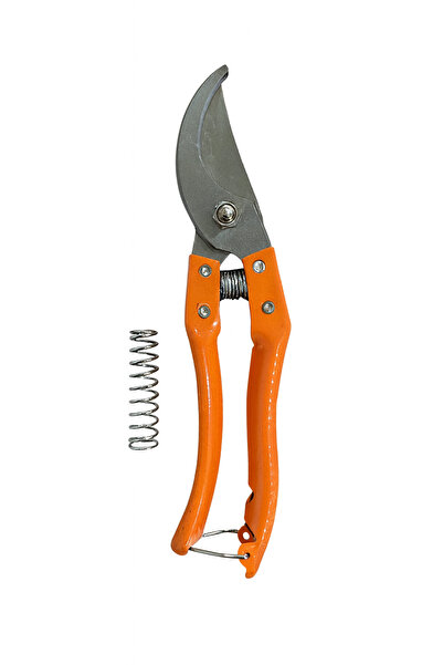 BACHQ Chinese manual tree shears V5