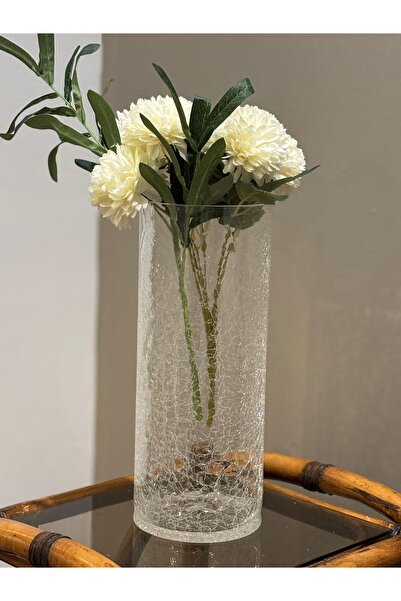 Miko Home & Garden Çatlak Dokulu Silindir Cam Vazo – Yüksek Boy Dekoratif Şef...