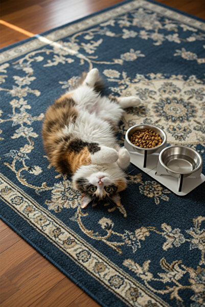 GOBYPET Ahşap Ayrılabilir Tabanlı 2'li Mama ve Su Kabı