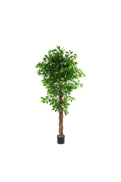 OEM Ficus 180cm
