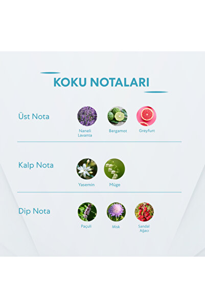 Bargello Crowded Men's 50 ml Perfume Edp