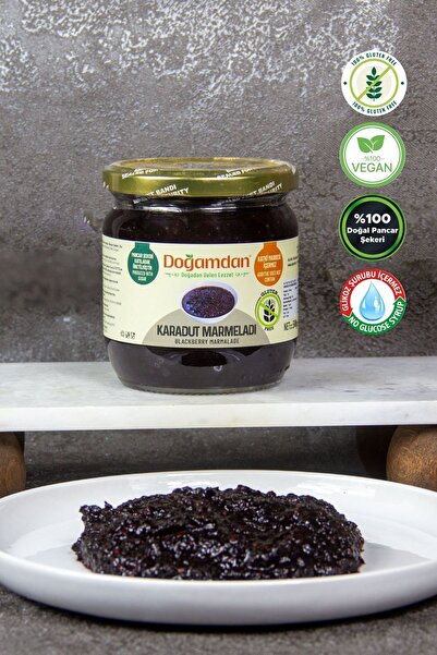 DOĞAMDAN Karadut Marmelatı 500 GR