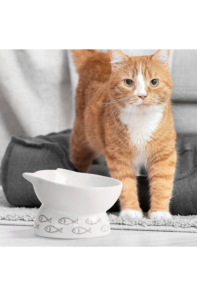OEM Raised Ceramic Cat Bowl, Slanted, Non-Slip, Fish Design for Healthy Feeding