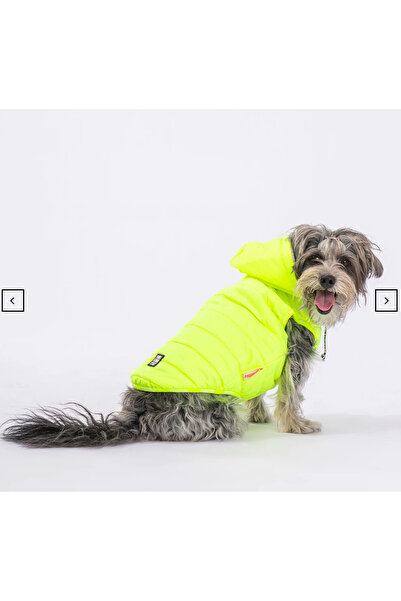 mastercat Neon Sarı Su İtici Köpek Yağmurluğu
