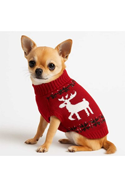 Petfactory Hainuta Craciun pentru caini – rosie, calduroasa, 30 cm