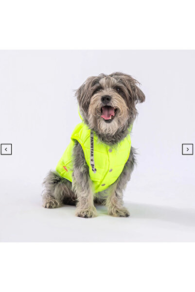 mastercat بدلة كلب لطيفة مطرزة باللون الأخضر