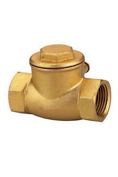 Altınyapı Hobi Market Çalpara Check Valve 1 1/2 Check Valve