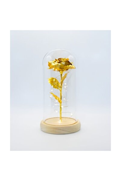 MyRavadino Trandafir criogenat în cupolă de sticlă cu lumini LED, 22 cm, auriu