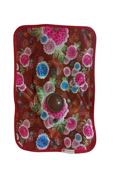 Generic Multi-colored thermal electric water bag