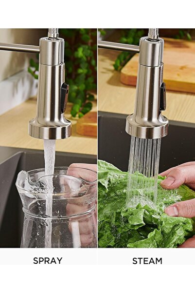 Generic Made in Germany Kitchen Sink Faucet with Pull-Down Spray, Spring Single-Handle, Stainless Steel