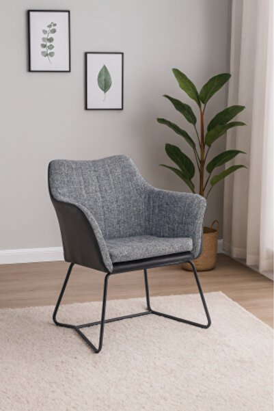 HOMEZ NEED Modern Ergonomic Seating Chair with Metal Base