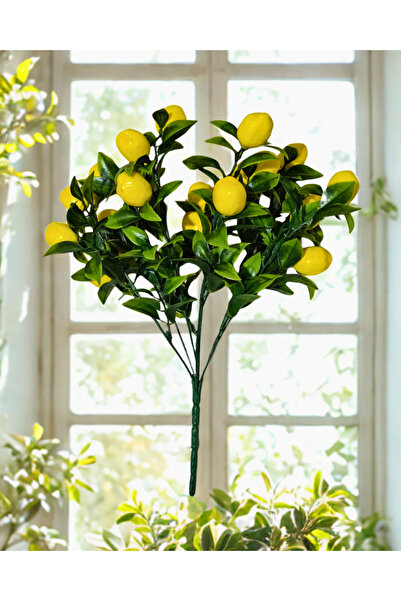 Home Yapay Limon Demeti , 1 Demet (7dal) 21 meyveli , Bol Yapraklı