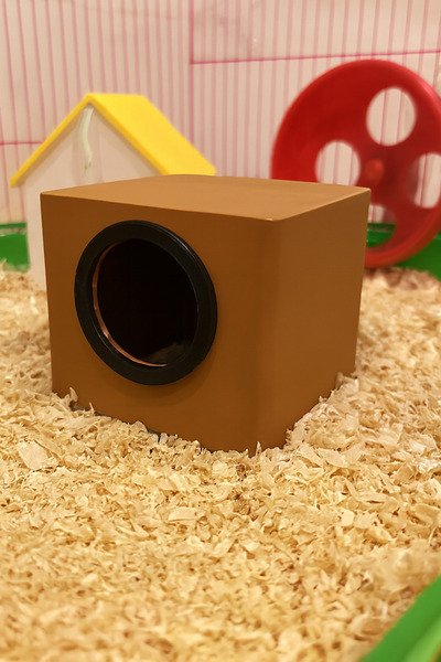 T×DEM Hamster Yuvası ※ Hamster Evi ※ KarışıkRenk ※ Hamster Kafesi ve Habitatı...