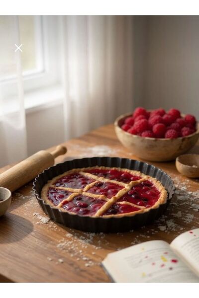 tafce Tart Mold-Round Metal Cake Mold 24 cm