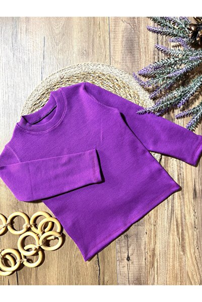 Babyelisco Kız çocuk pamuklu kaşkorse uzun kollu body mor 1-12 yaş