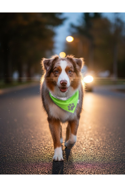 Evendi Dog bandana, Green