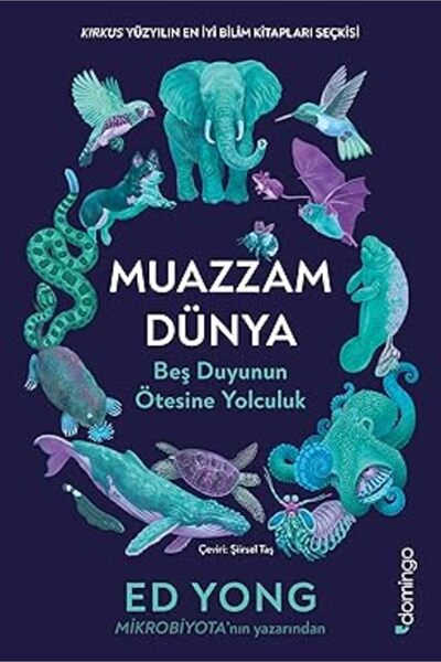 Alfa Yayınları Muazzam Dünya: Beş Duyunun Ötesine Yolculuk