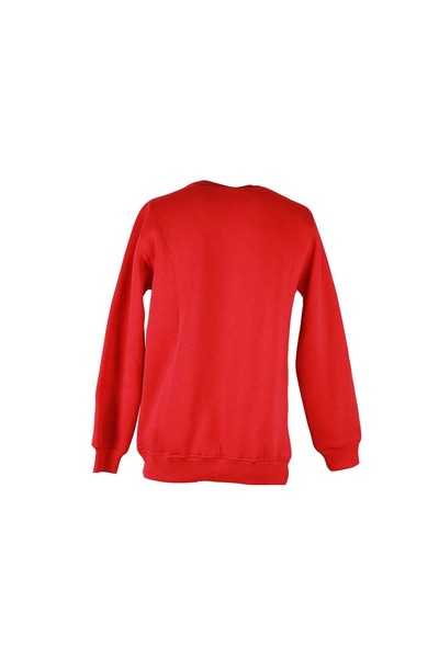 trender Country Print 0 Collar 3 Thread Red Men's Sweatshirt 26Kl71G08008
