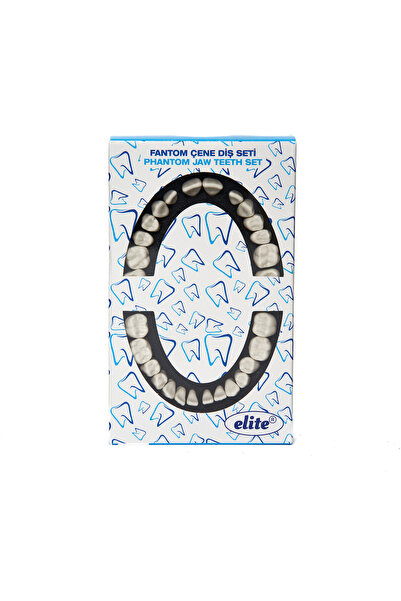 Seçkin Dental Elite / S28SET 28'LİK DİŞ SETİ (ELITE)