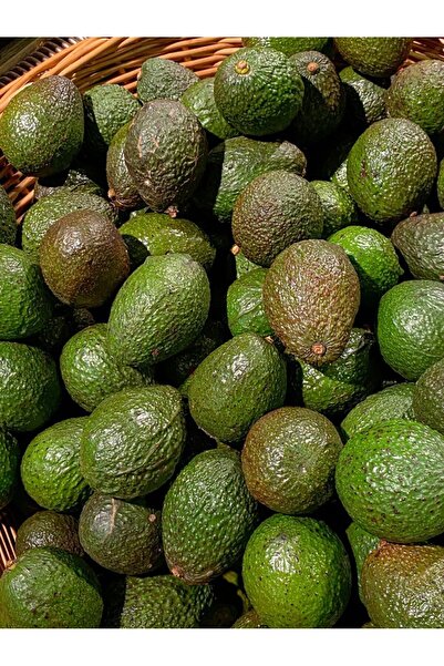 TROPİKYUM AVOKADO En Mini Boy 1 Kg (8-10 Adet) Taze Hasat Yerli Mahsul