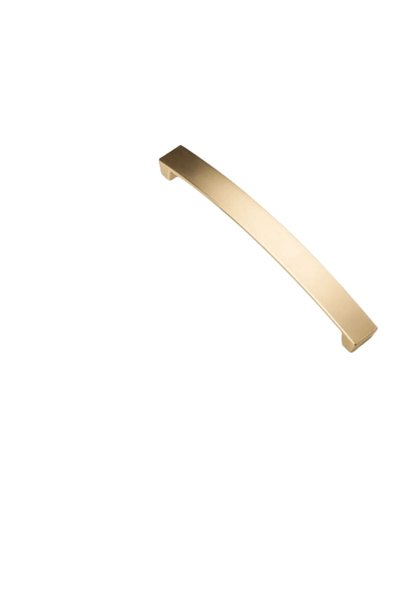 CHOOSEAX 5* Furniture Handle B0010-224mm-Gold