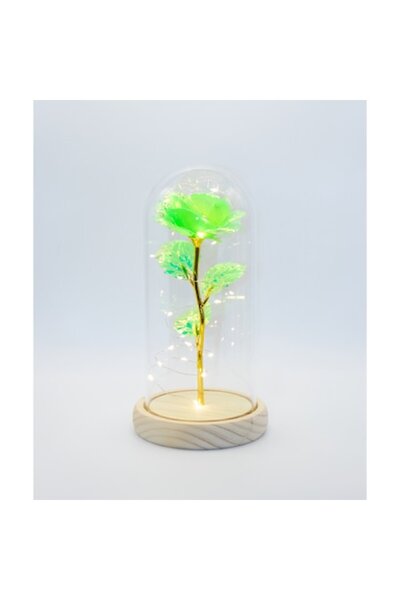 MyRavadino ™ Trandafir criogenat în cupolă de sticlă cu lumini LED, 22 cm, verde