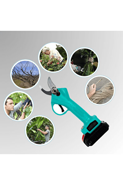 OferteTop Professional Electric Scissors With 2 21v Batteries, Accessories And Case Included