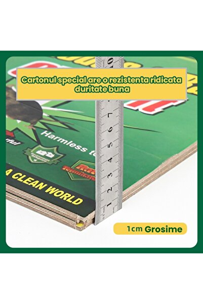 bzstore Set of 10 Self-Adhesive Mouse Trap, 19 x 13 cm, Green/Yellow