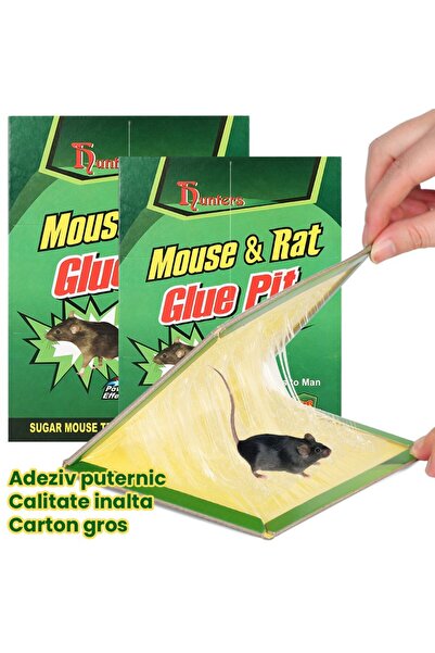 bzstore Set of 10 Self-Adhesive Mouse Trap, 19 x 13 cm, Green/Yellow