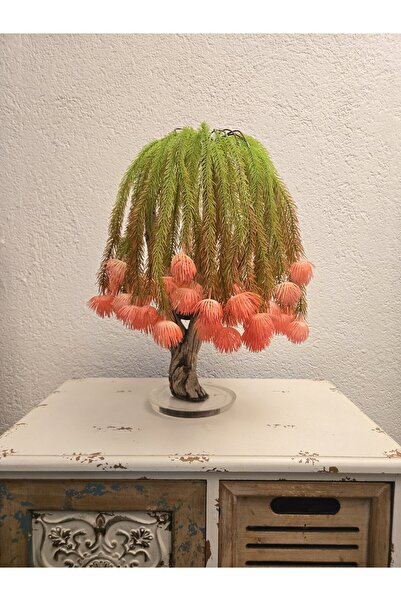 Decoroon El Yapımı Salkım Söğüt Tarzı Bonsai – Doğal Ağaç Gövdeli | Epoksi Ta...