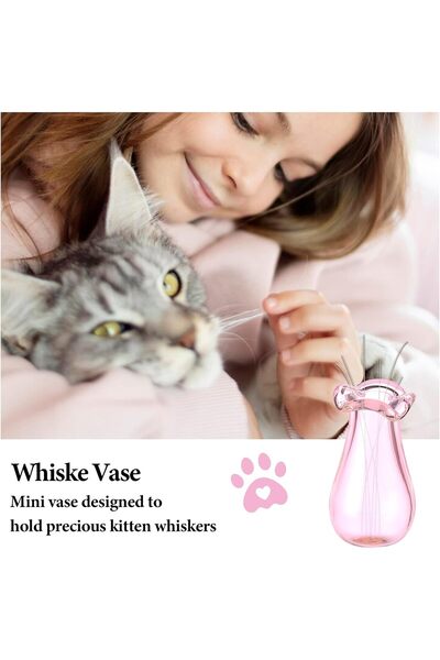 NALACAL Tiny Glass Vases Set - Cat Whiskers Holder, Miniature Jars for Flowers, 4 pcs (Black, Pink, Purple,