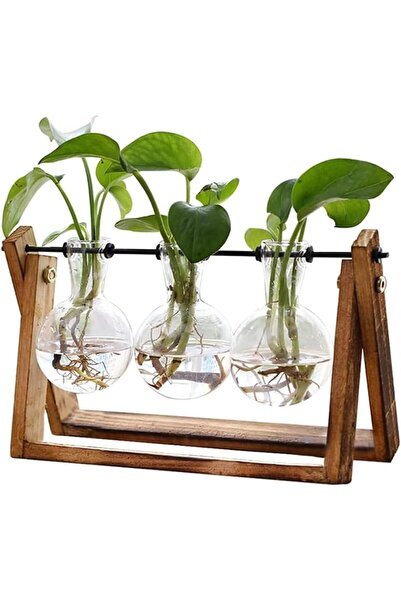 Generic Plant Terrarium with Wooden Stand - 3 Bulb Glass Vases for Hydroponics, Home & Office
