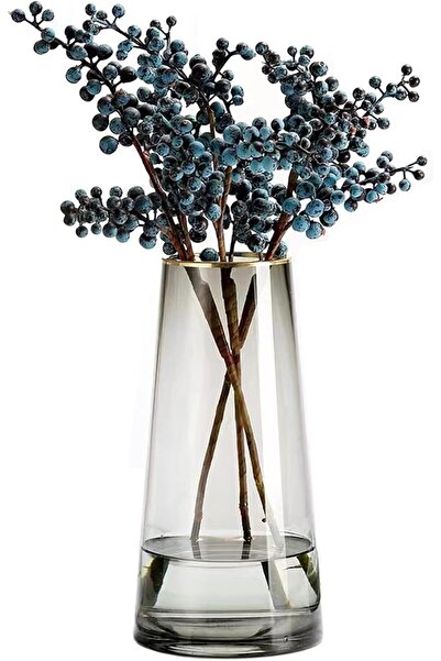 Qiccijoo Clear Glass Cylinder Vase, 21.5cm Tall, 7cm Opening (Grey)