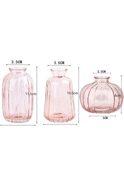 Generic Glass Flower Vases Set of 3, Pink Mini Decorative Bottles, Modern Table Centrepiece