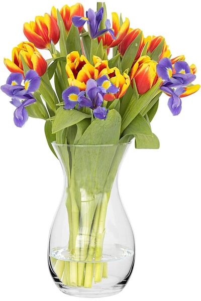 SPNOR مزهرية زجاجية مزهرية زهور كبيرة مزهرية شفافة طويلة