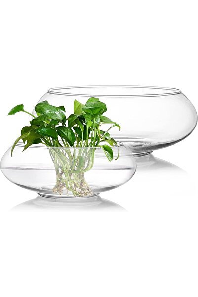 ZENFUN 2-Pack Glass Vase Bowl, 6" & 8" Wide Mouth Clear Round Terrarium