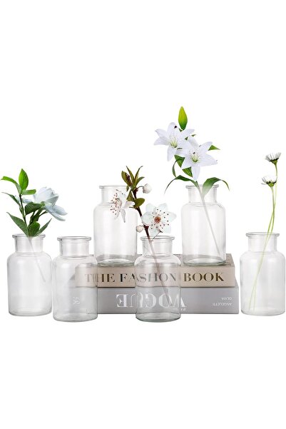 FUFU مجموعة من 6 مزهريات زجاجية شفافة (250 مل) - زجاجات عتيقة مزخرفة