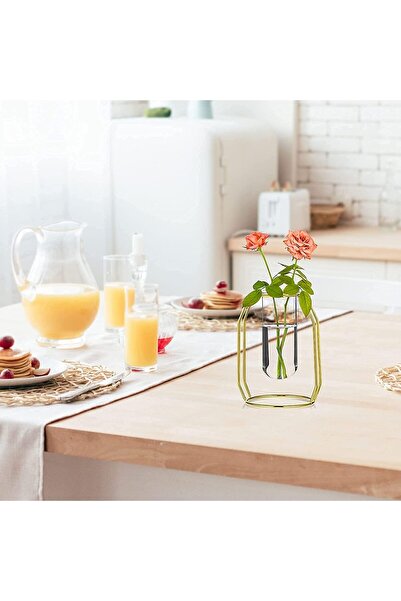 Khazna Glass Flower Vase with Gold Metal Frame – Test Tube Vase