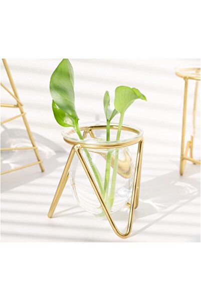 TERRIFI Glass Vase with Metal Stand - Gold Geometric Small Hydroponic Terrarium Vase