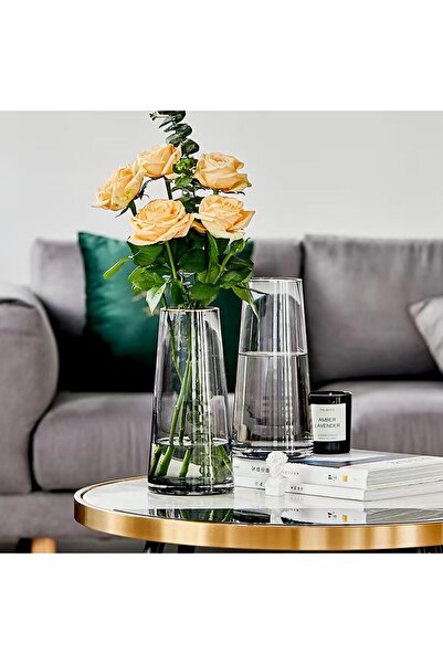 Qiccijoo Clear Glass Cylinder Vase, 21.5cm Tall, 7cm Opening (Grey)