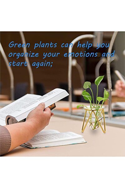 TERRIFI Glass Vase with Metal Stand - Gold Geometric Small Hydroponic Terrarium Vase