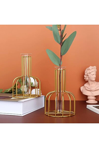 HALAMODO Flower Vase with Iron Art Frame, Metal Geometric Clear Glass (Gold, 1PC)