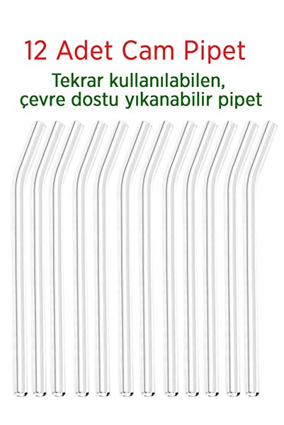 Sardıcı Transparent Glass Straw 12 Pieces Glass Inclined Straw (Heat Resistant)