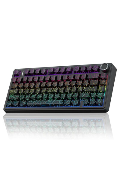 Aula F75 Mekanik RGB TKL Seiya Switch Kablosuz Makrolu Hot Swap Klavye Desenli Siyah
